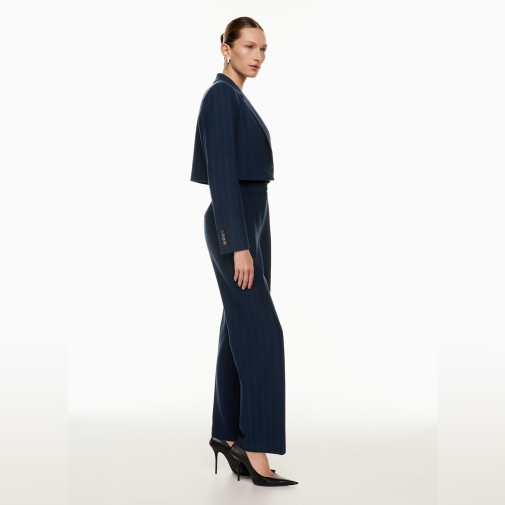 Aritzia Babaton Arbus Blazer - Picture 4 of 10